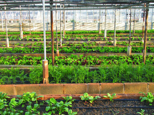 物聯網技術對農業的作用 物聯網技術對農業的作用